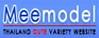 game.meemodel.com